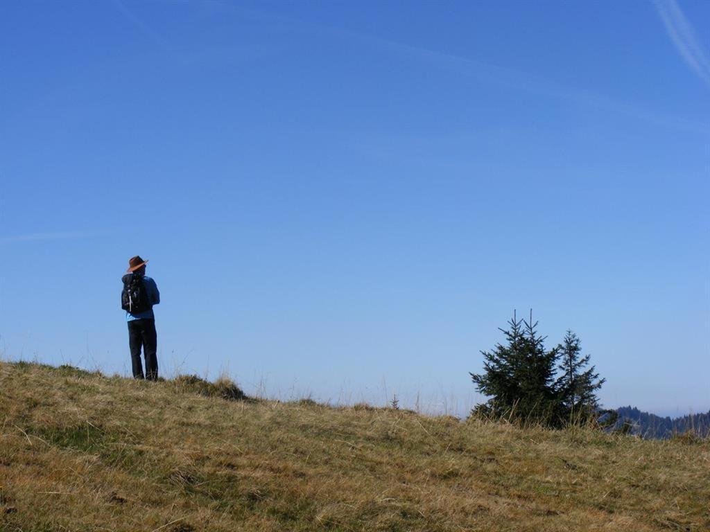 Ferienwohnung Landhaus Martin Sonthofen Esterno foto